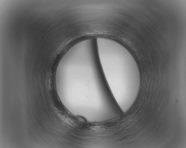 X0000062640544200601041059