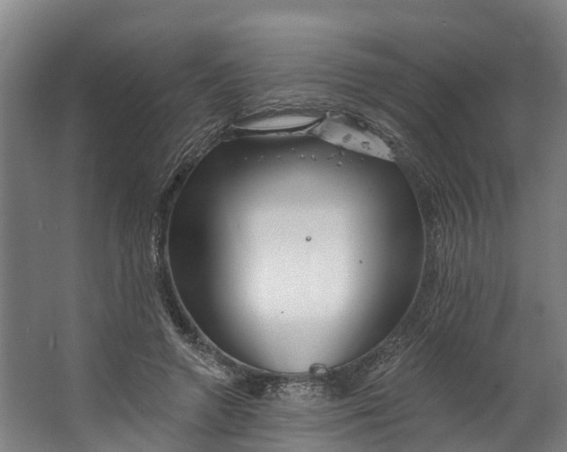 X0000062640546200601041059