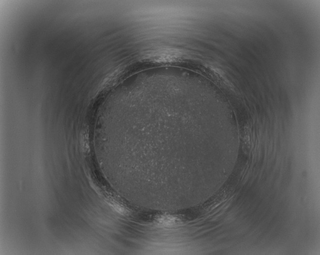 X0000062640547200601041100