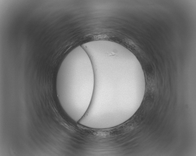 X0000062640549200601041100