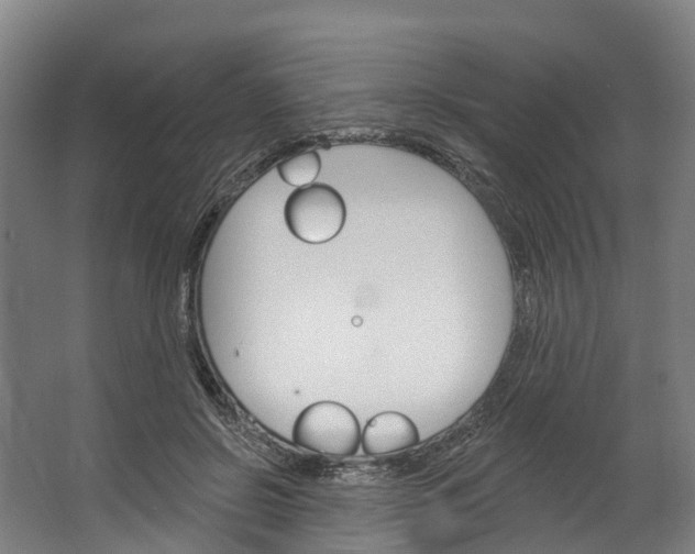 X0000062640550200601041100