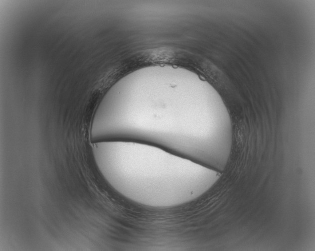 X0000062640551200601041100