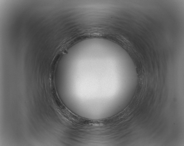 X0000062640552200601041100