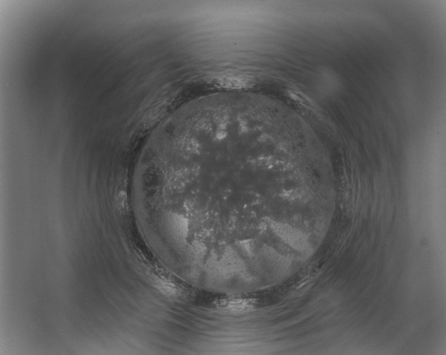 X0000062640553200601041100