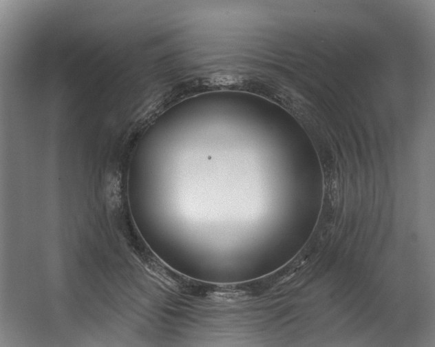 X0000062640556200601041100