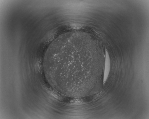 X0000062640559200601041100