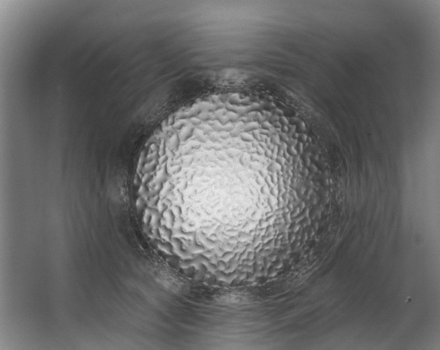 X0000062640561200601041100