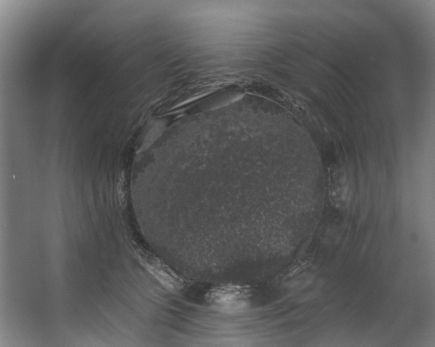 X0000062640563200601041100