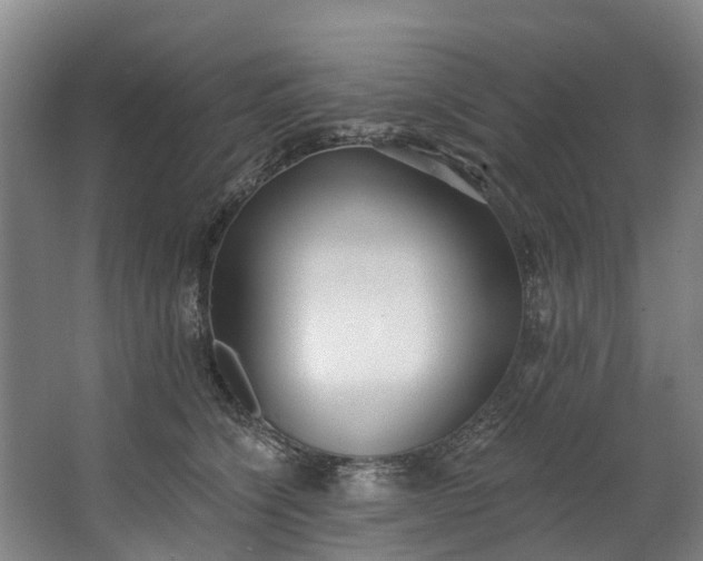 X0000062640564200601041100