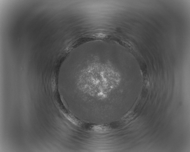 X0000062640568200601041100