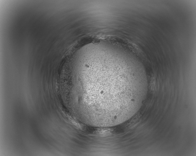 X0000062640569200601041100