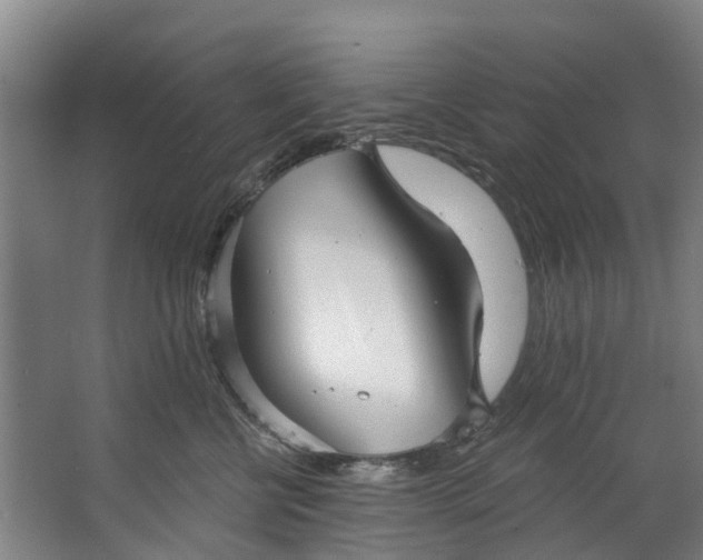 X0000062640570200601041100