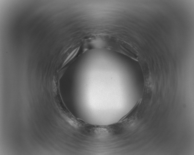 X0000062640572200601041100