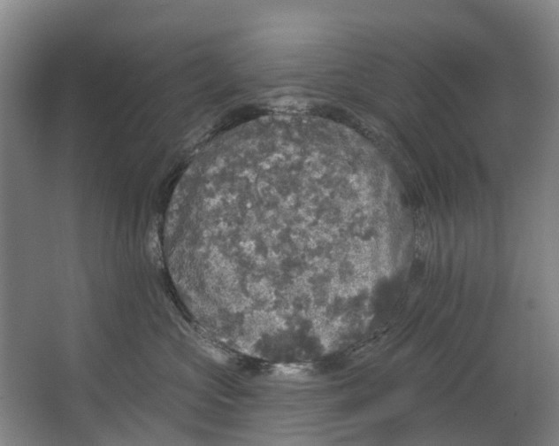 X0000062640573200601041100