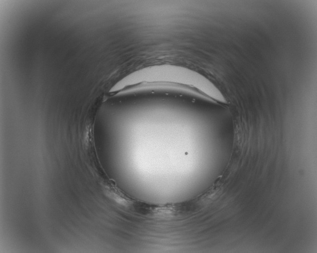 X0000062640574200601041100