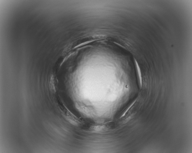 X0000062640575200601041100