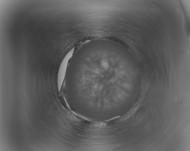 X0000062640576200601041100