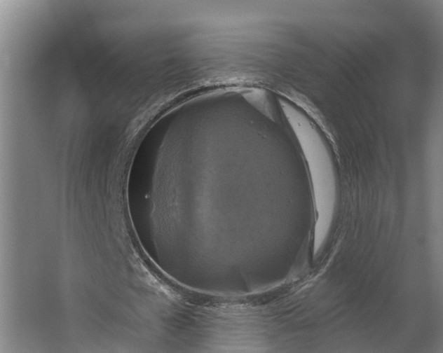 X0000062640577200601041059