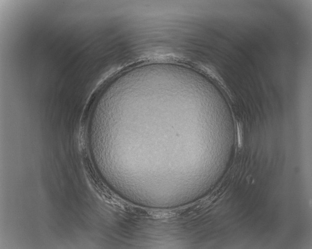 X0000062640579200601041059