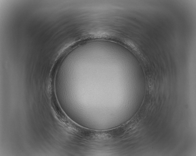 X0000062640583200601041059