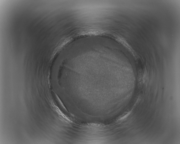 X0000062640585200601041059