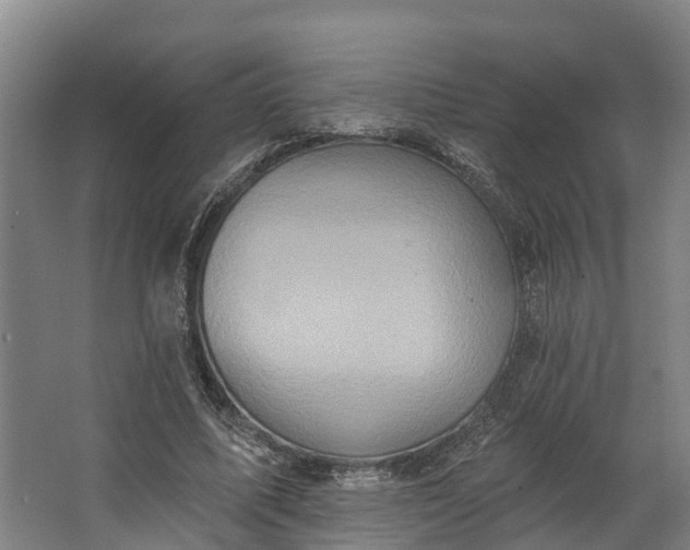 X0000062640587200601041059