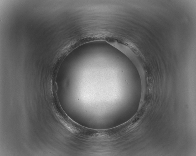 X0000062640589200601041059