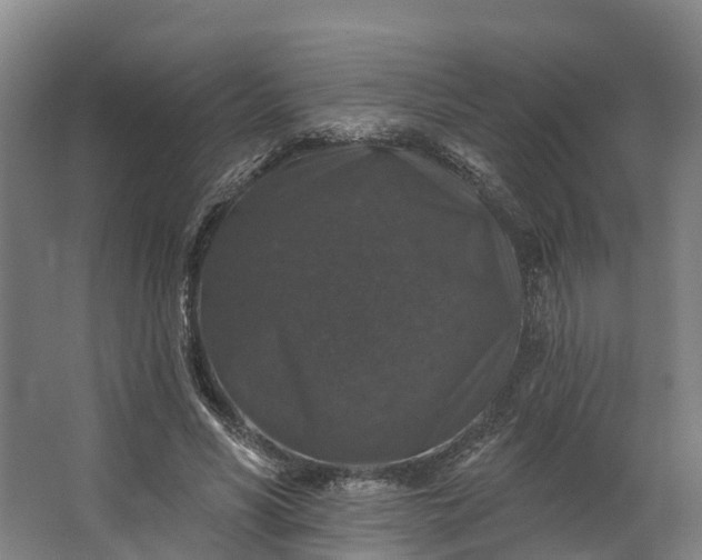 X0000062640590200601041059