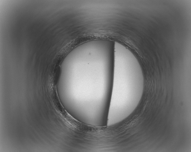 X0000062640593200601041059