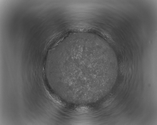 X0000062640594200601041059