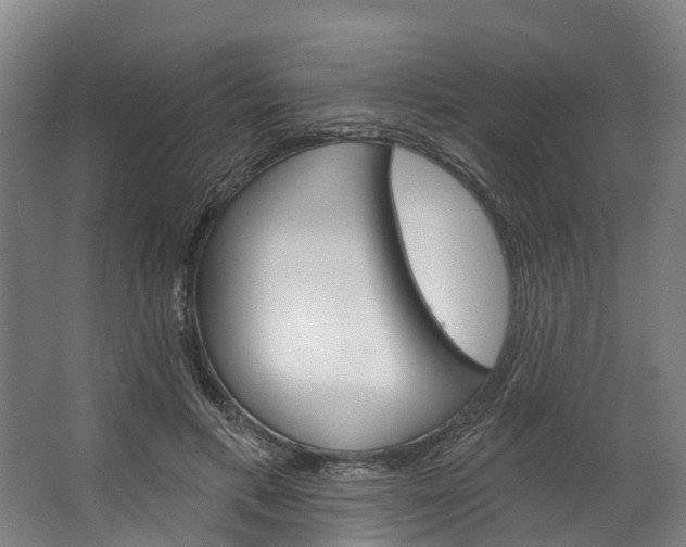 X0000062640597200601041059