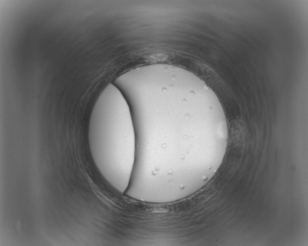 X0000062640598200601041059