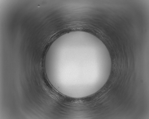 X0000062640600200601041059