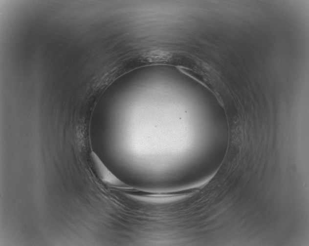 X0000062640604200601041059