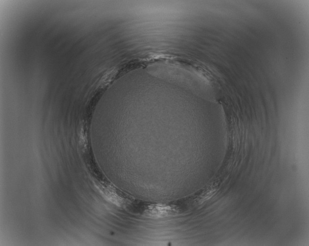 X0000062640607200601041059