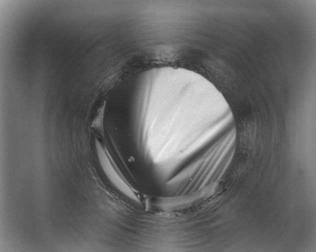 X0000062640608200601041059