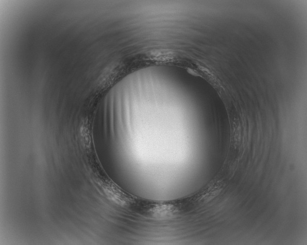 X0000062640609200601041059