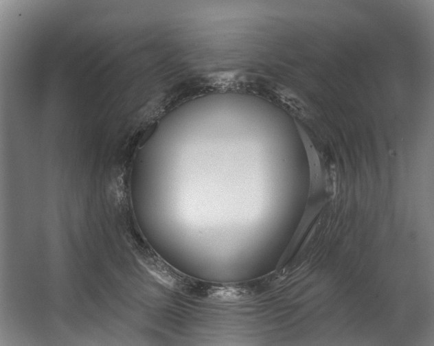 X0000062640611200601041059