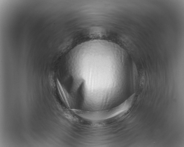 X0000062640616200601041059