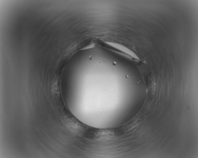 X0000062640619200601041058