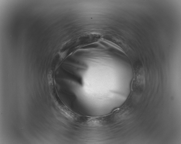 X0000062640620200601041058