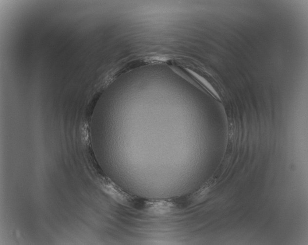 X0000062640621200601041058