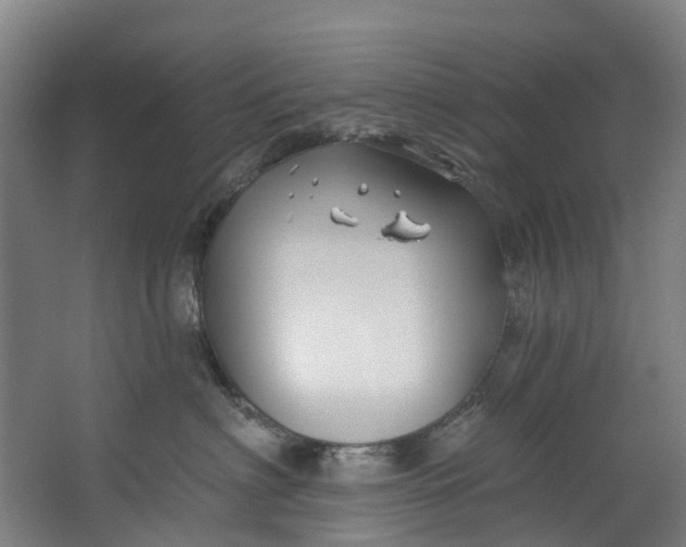 X0000062640622200601041058