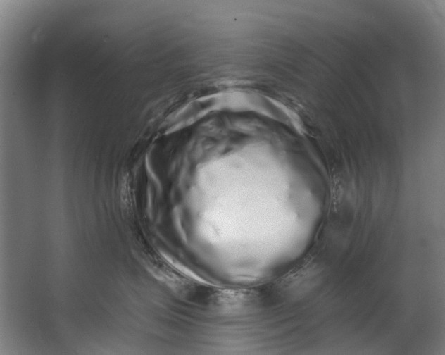 X0000062640623200601041058