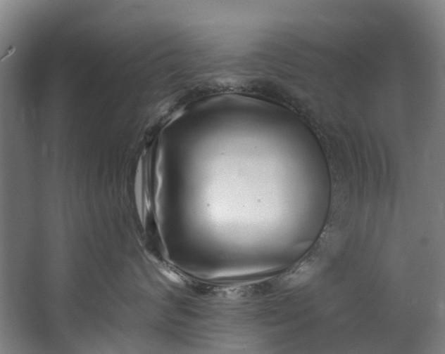 X0000062640624200601041058