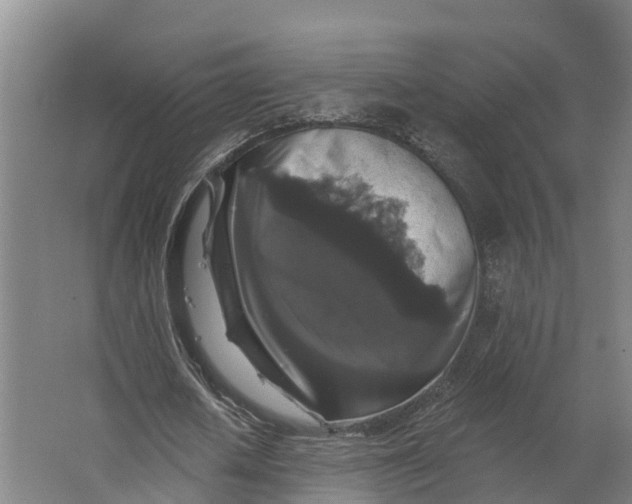 X0000062640626200601041058