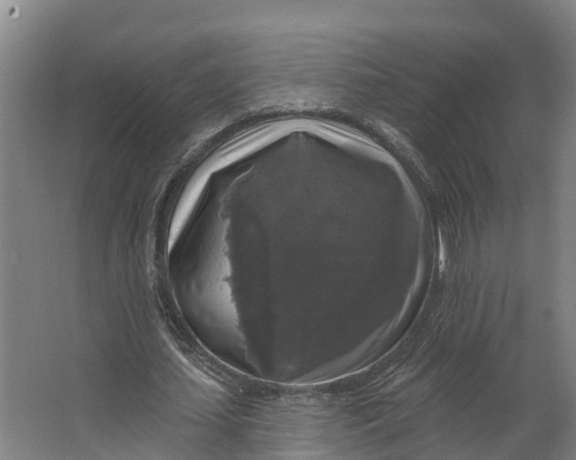 X0000062640627200601041058