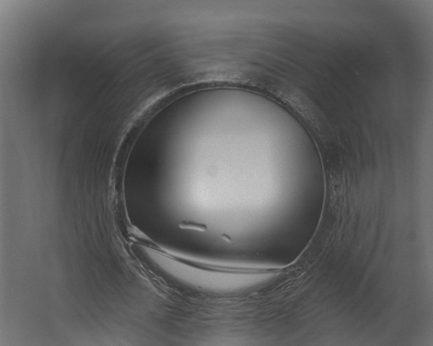 X0000062640628200601041058