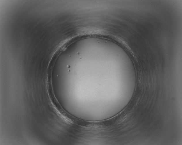 X0000062640629200601041058