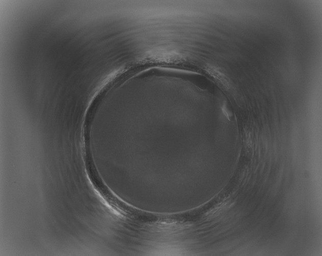 X0000062640630200601041058